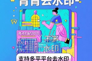 青青去水印APP